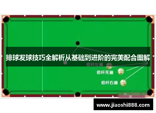 排球发球技巧全解析从基础到进阶的完美配合图解