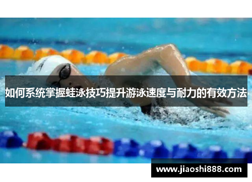 如何系统掌握蛙泳技巧提升游泳速度与耐力的有效方法