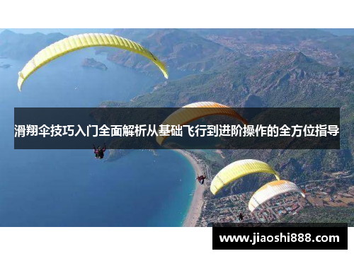 滑翔伞技巧入门全面解析从基础飞行到进阶操作的全方位指导