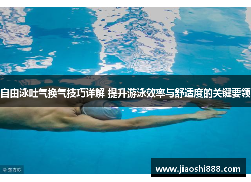 自由泳吐气换气技巧详解 提升游泳效率与舒适度的关键要领